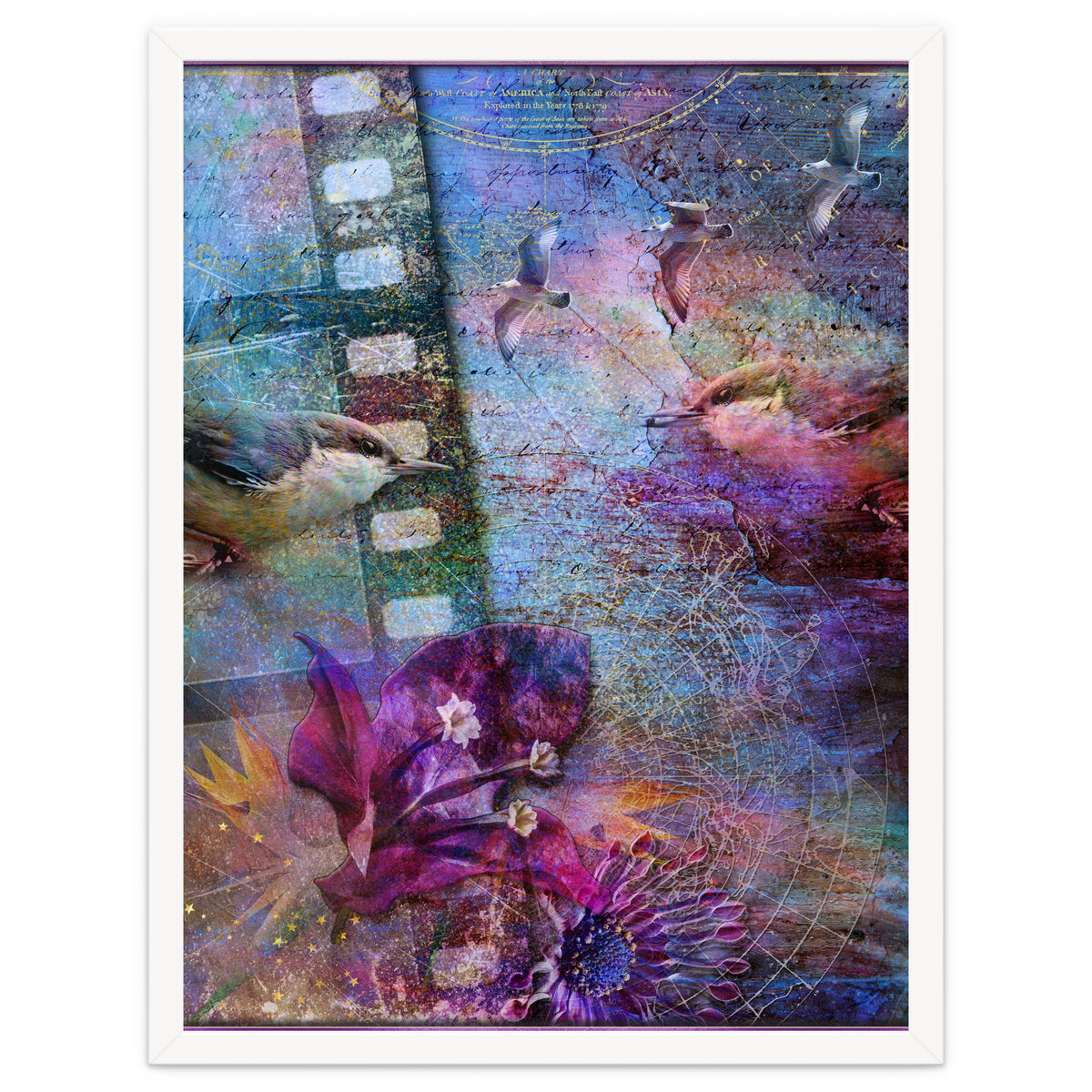 Watching the Wild World