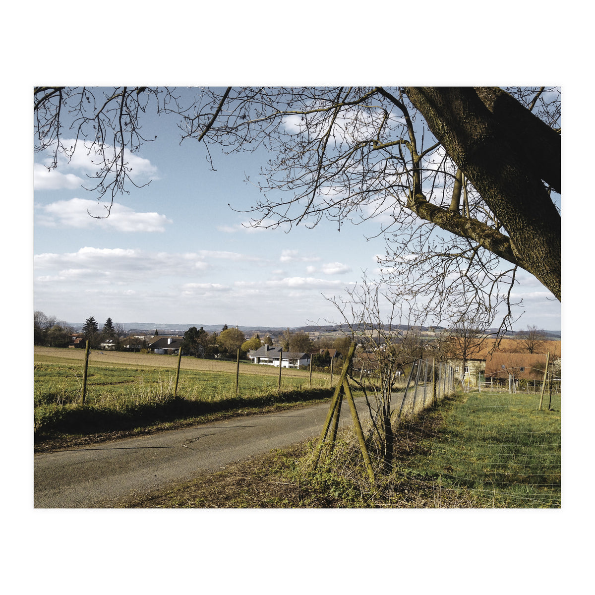 Bucolism 1 (Print Only)