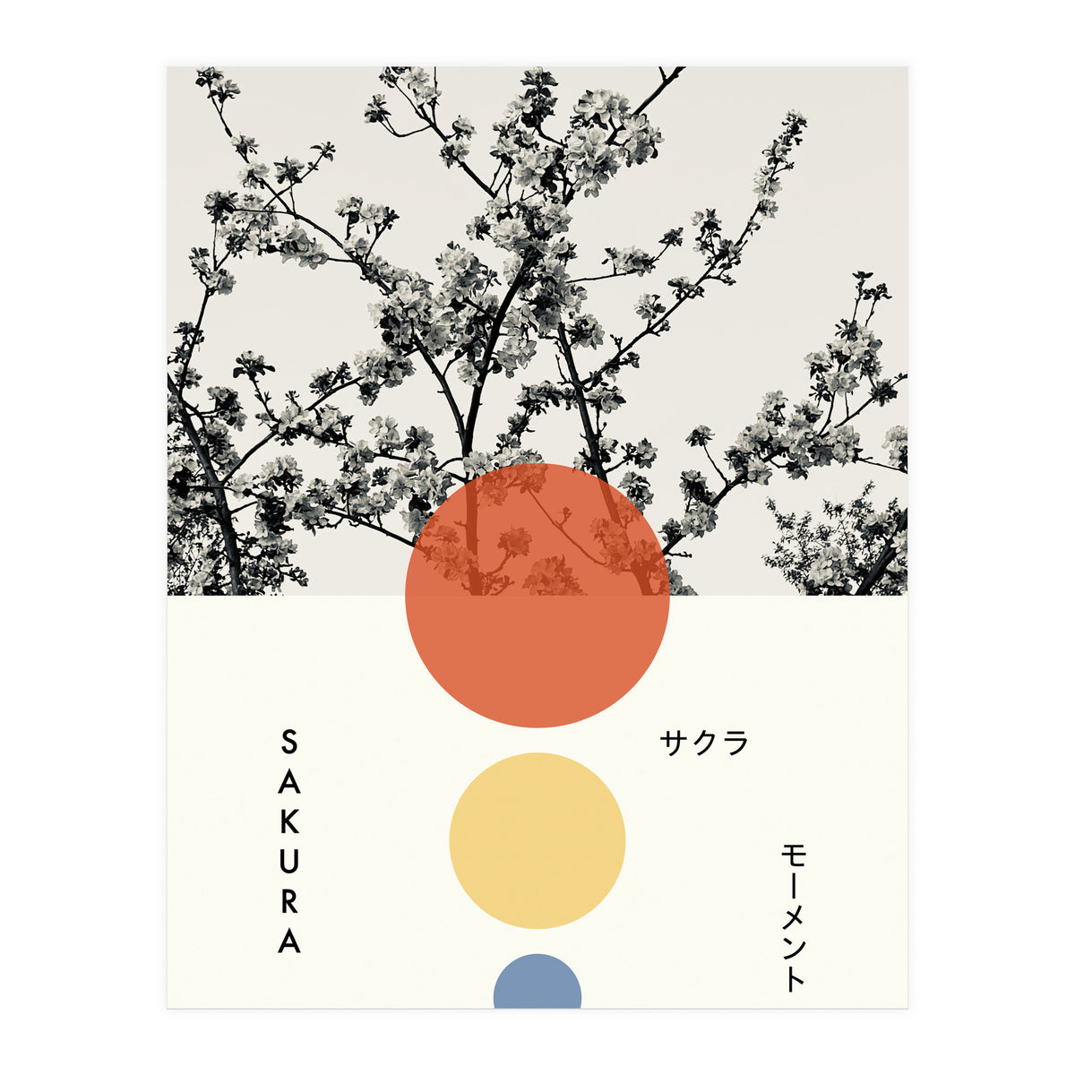 Sakura - Cherry blossom - Japanese - Photography (Print Only)