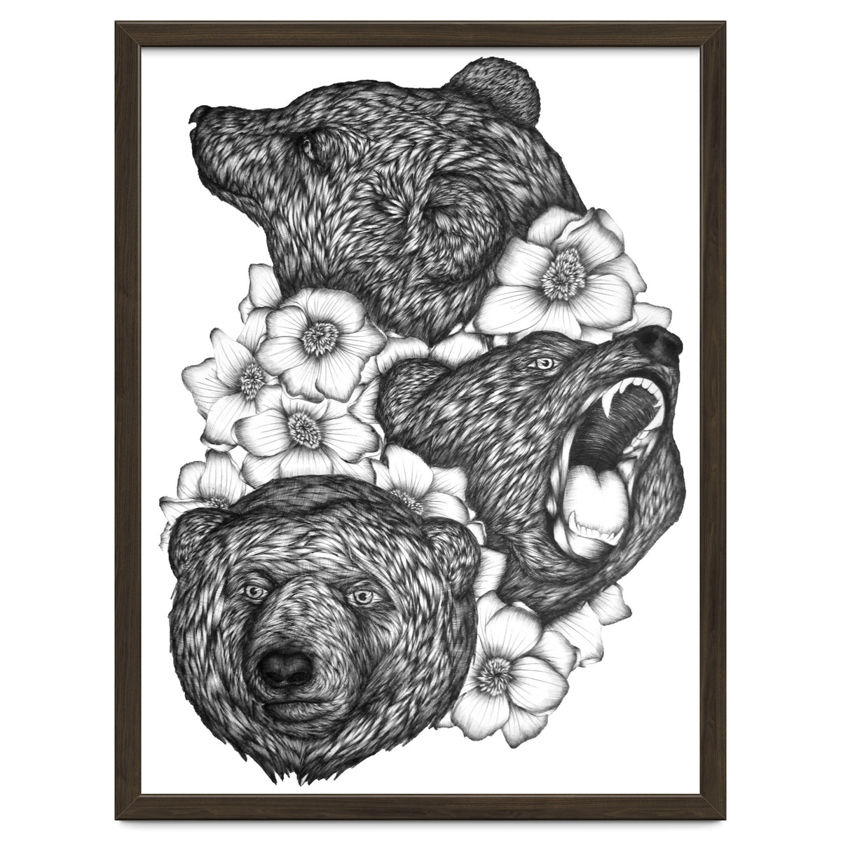 Bears In Bears