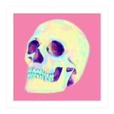 Skull (Print Only) thumbnail