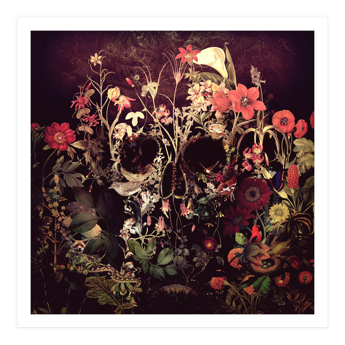 Bloom Skull (Print Only)