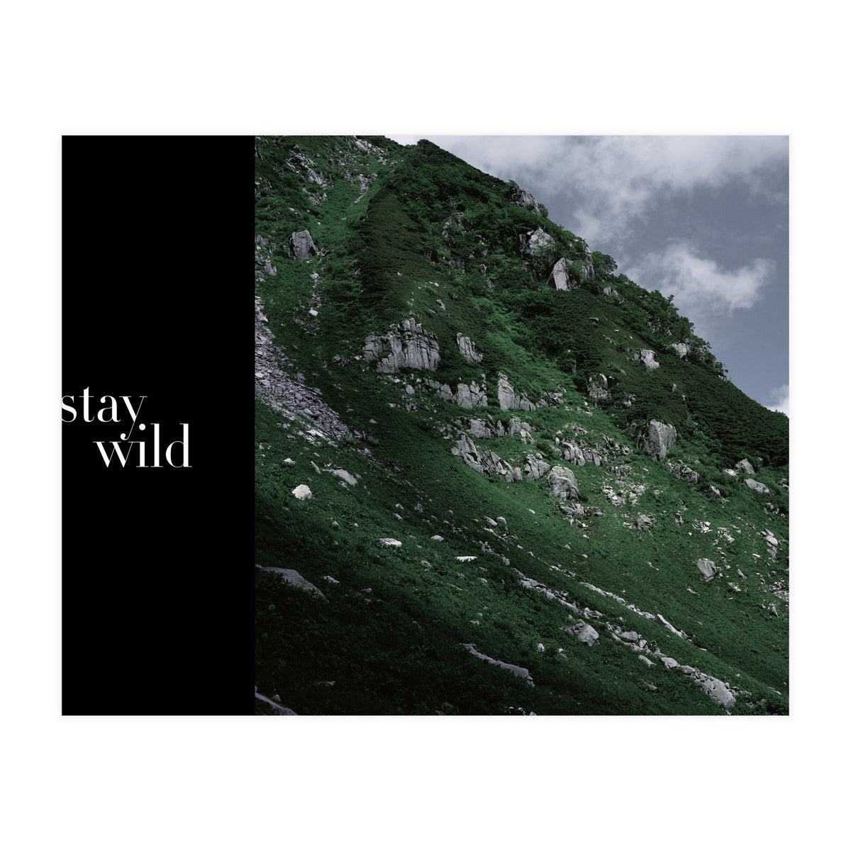 stay wild  (Print Only)