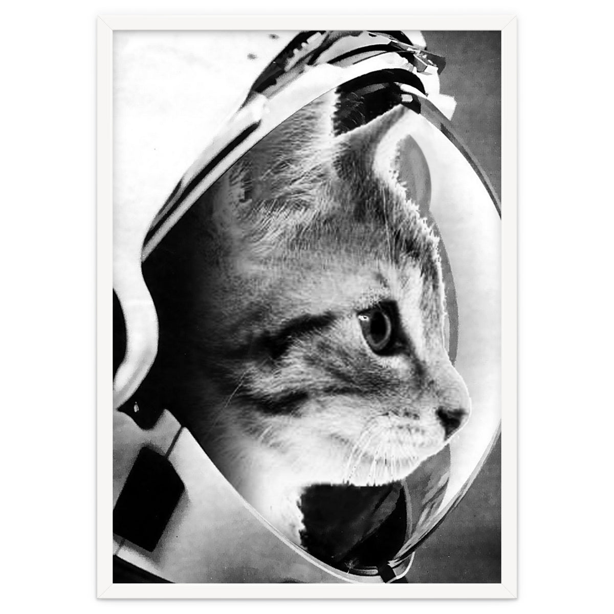 Astrocat