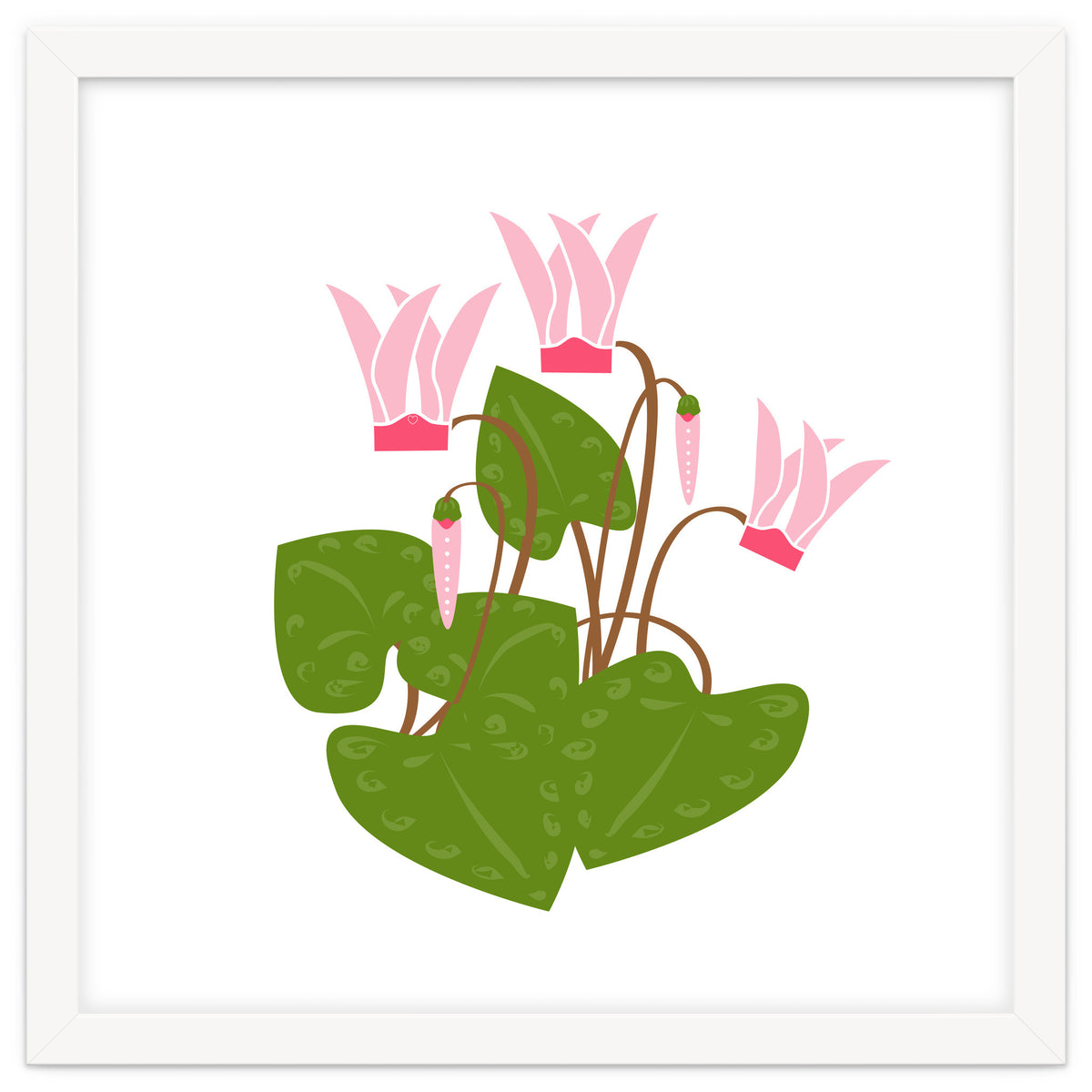Cascading Cyclamen