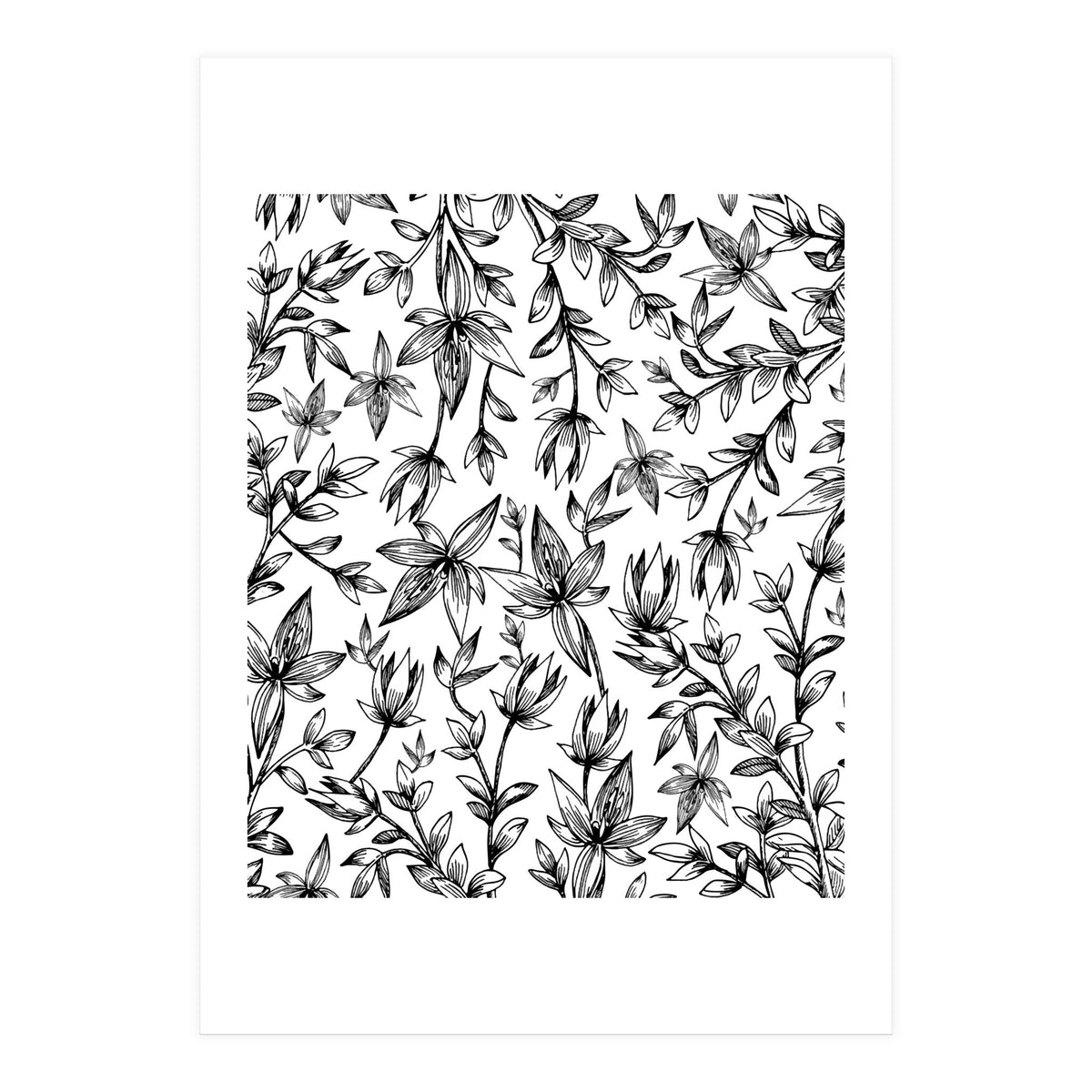 Veli V2 (Print Only)