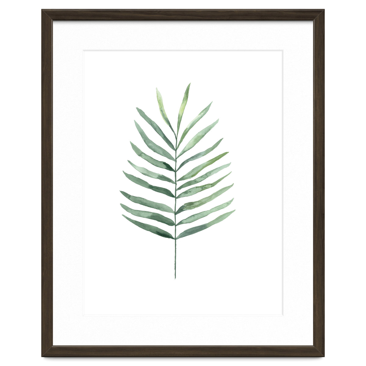 Botanical Illustration Fern