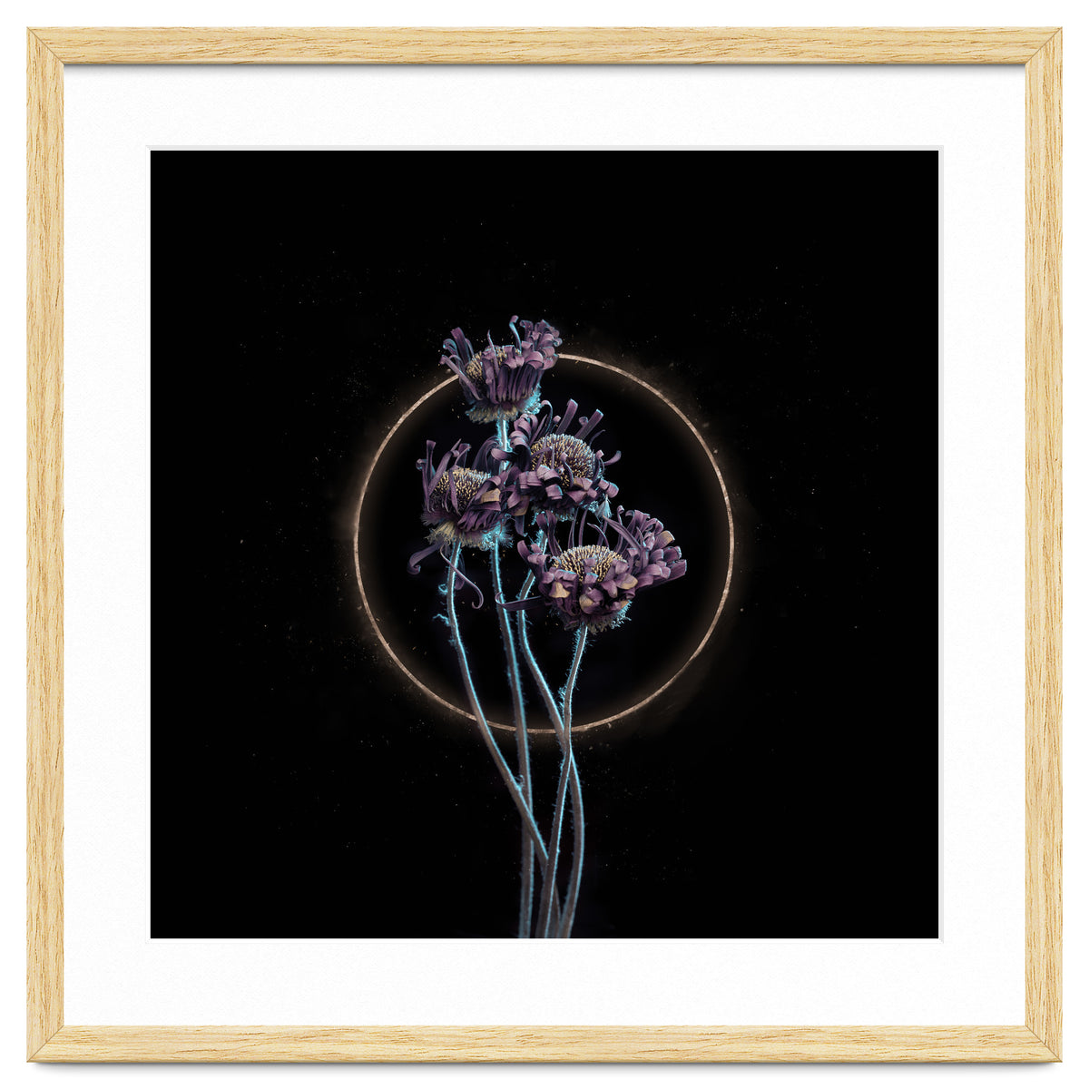 Candy-Coloured Mystery