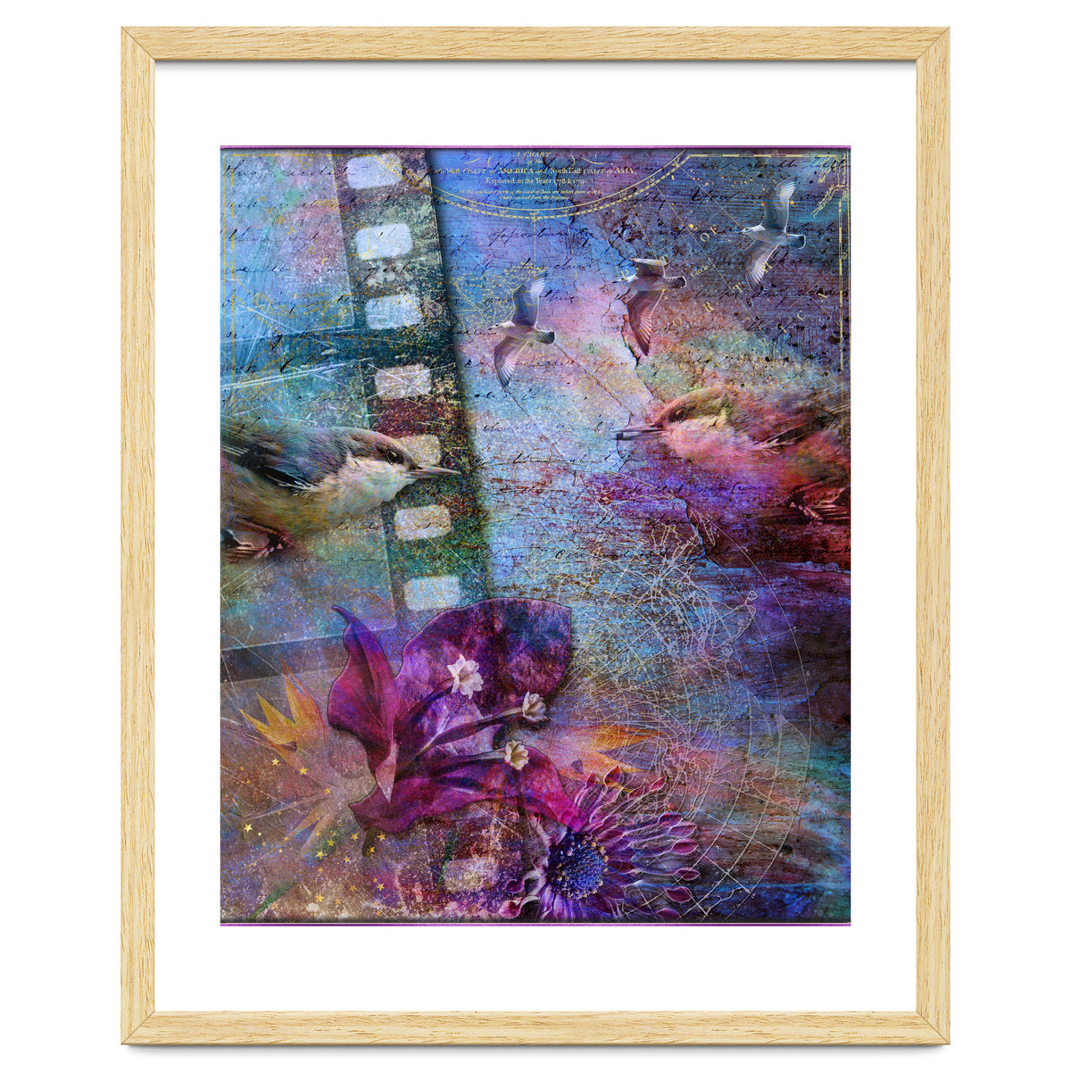 Watching the Wild World