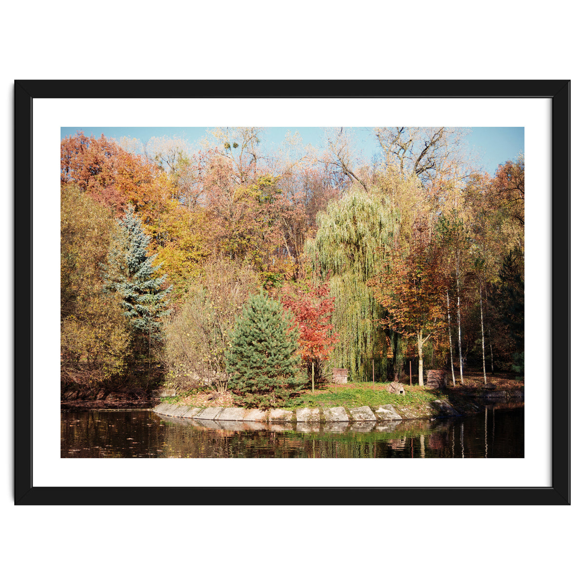 Transition from Summer to Winter