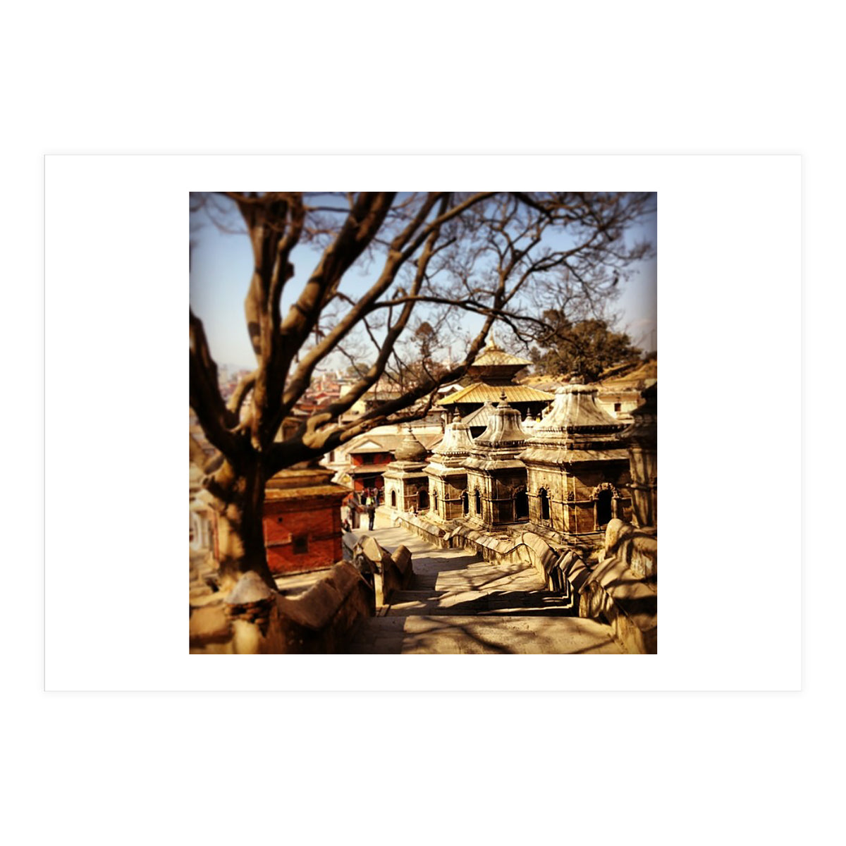 Pashupati Nath Ji (Print Only)