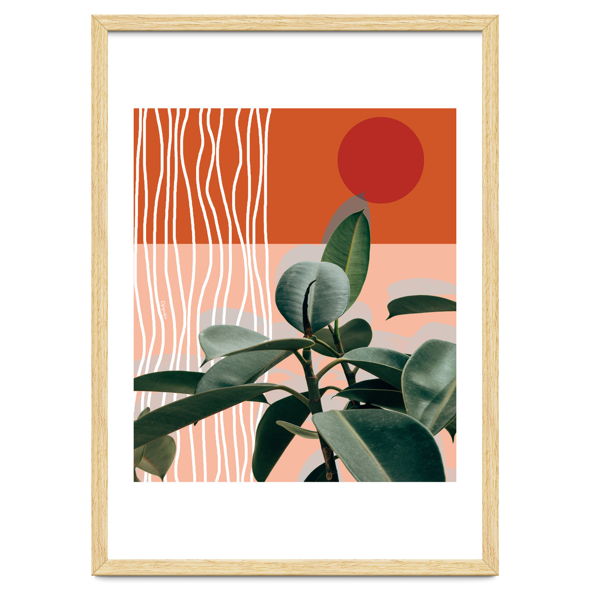 Times of a Growing Plant