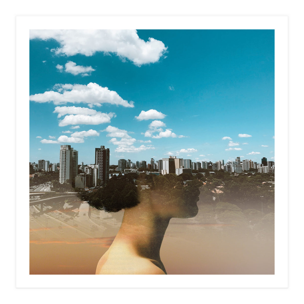 Dream Division 15 (Print Only)