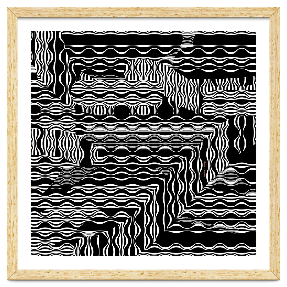 BLACK AND WHITE EXOTIC