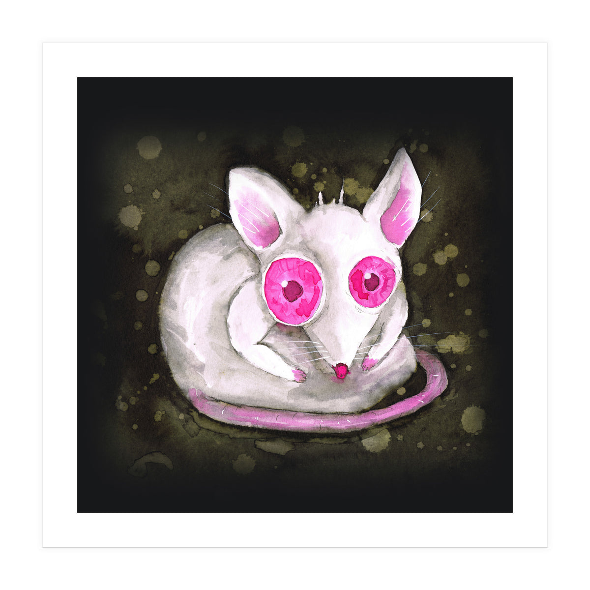 Albino rat (Print Only)