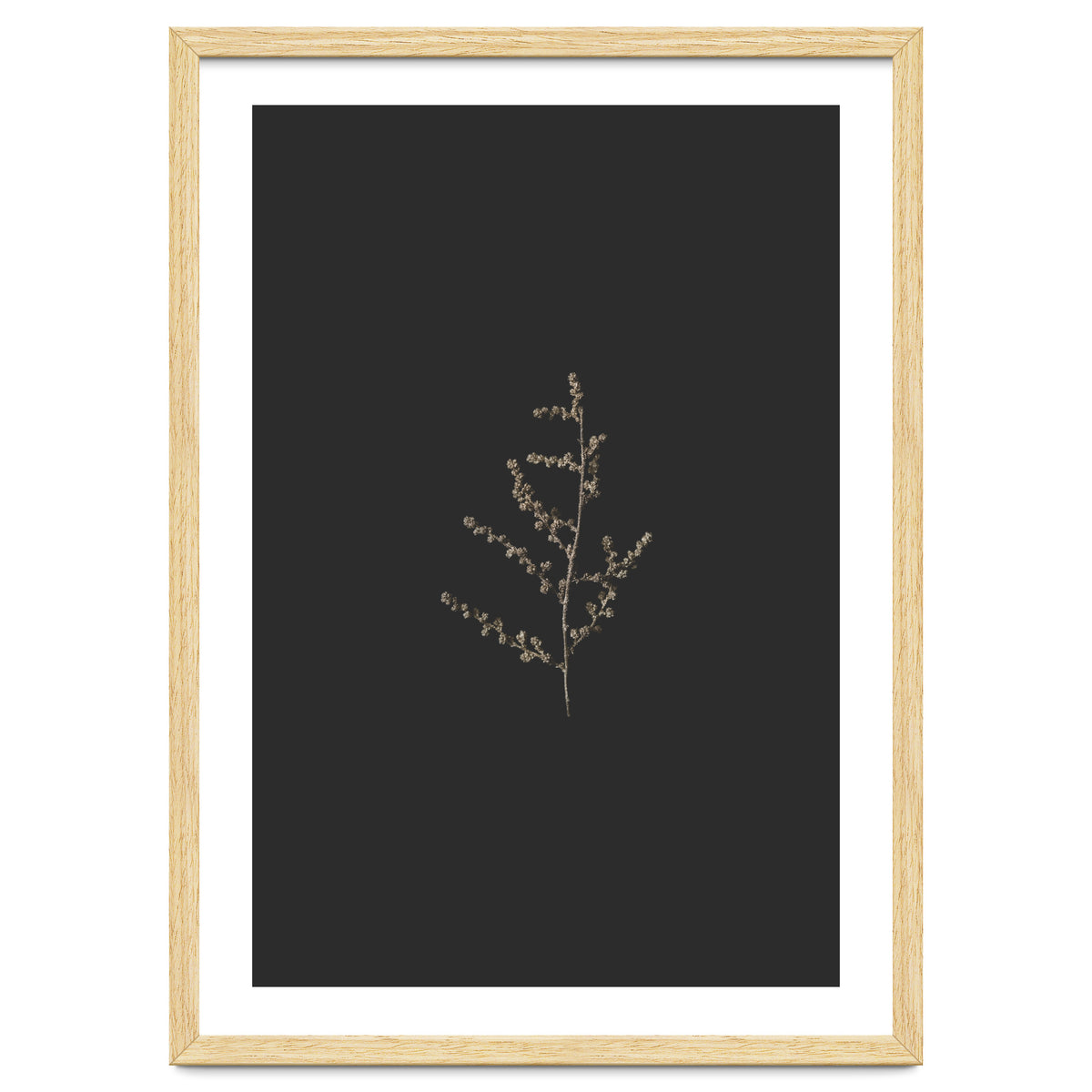 Dainty Botanicals in Gold and Black