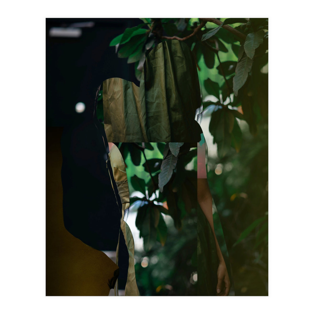 Disappeared Dreams 5 (Print Only)