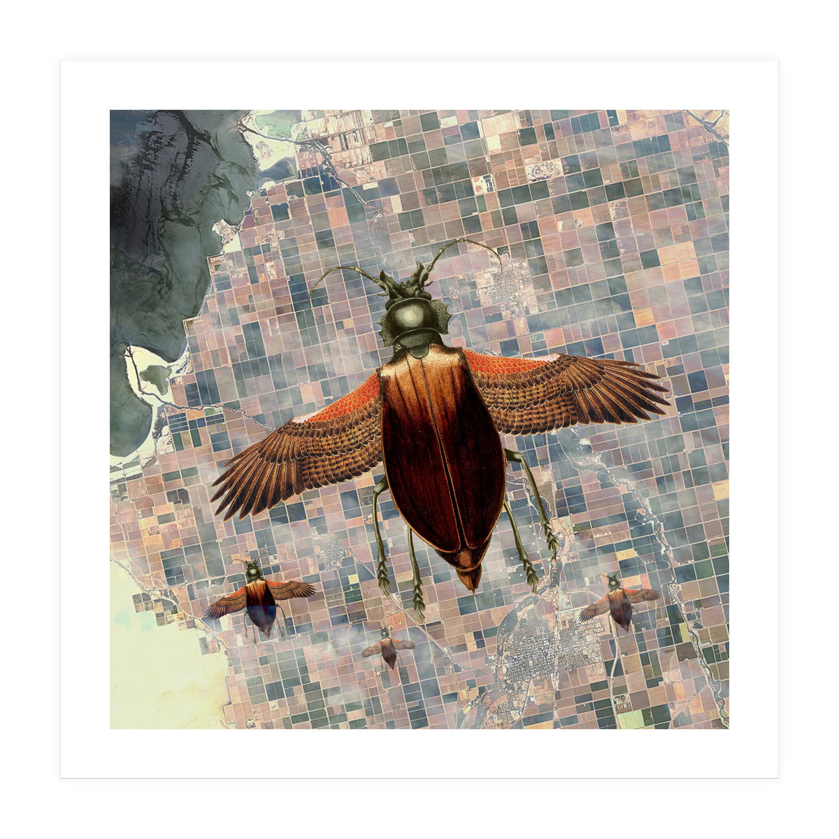 Flying High (Print Only)