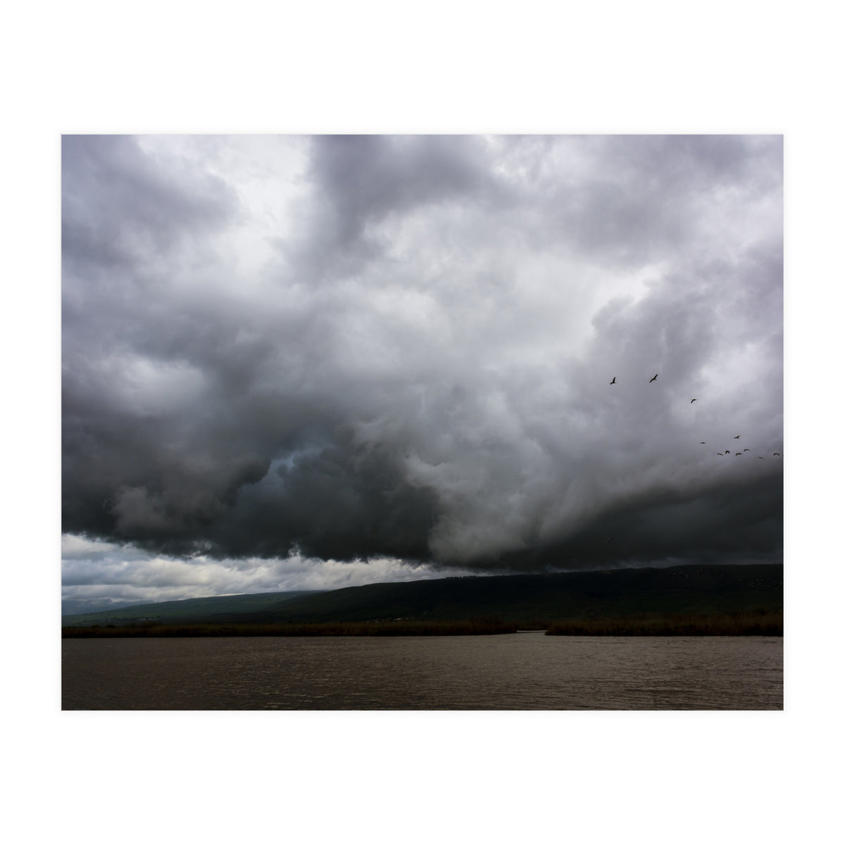 The Hula Valley #1 (Print Only)