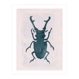 Beetle 3 (Print Only) thumbnail