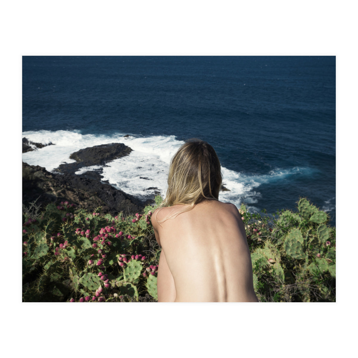 Delight (Print Only)