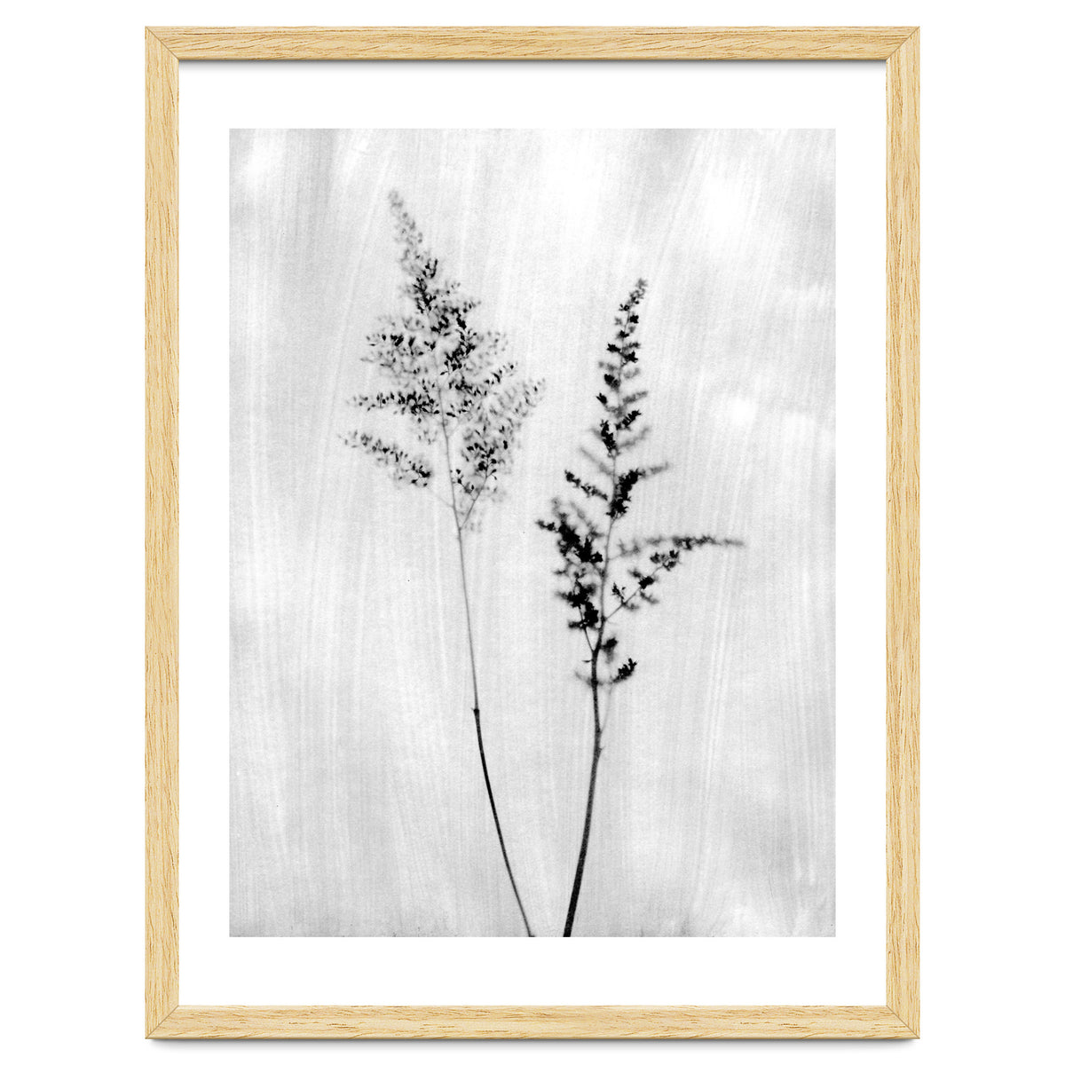 Delicate Wildflowers