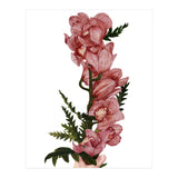 For You (Print Only) thumbnail