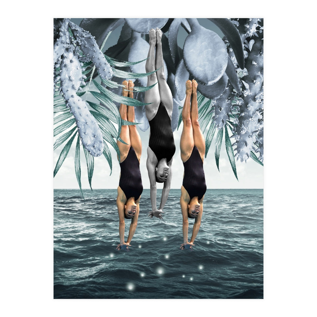 Dive Into (Print Only)