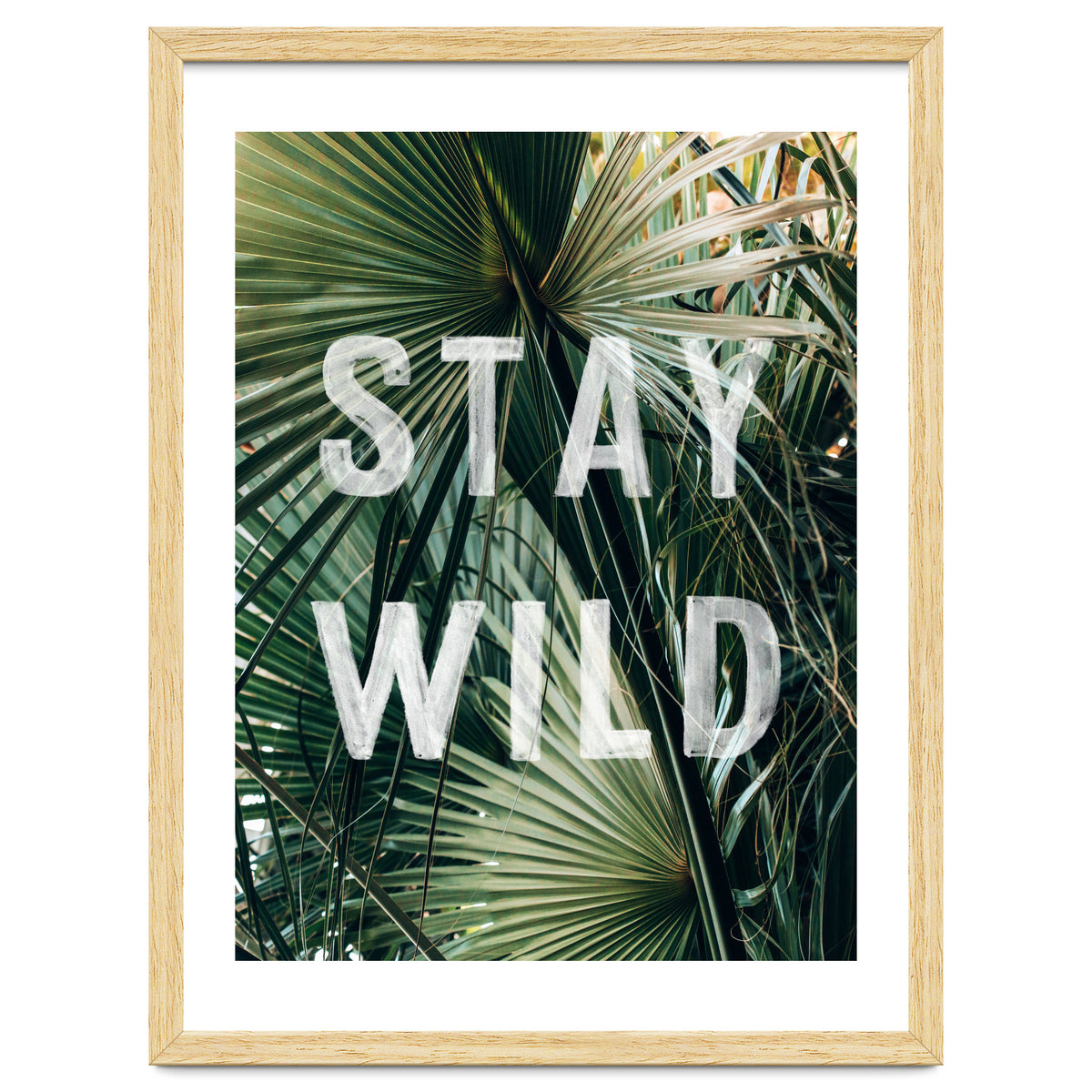 Stay Wild
