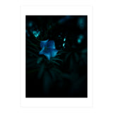 Shining Blue Floral (Print Only) thumbnail