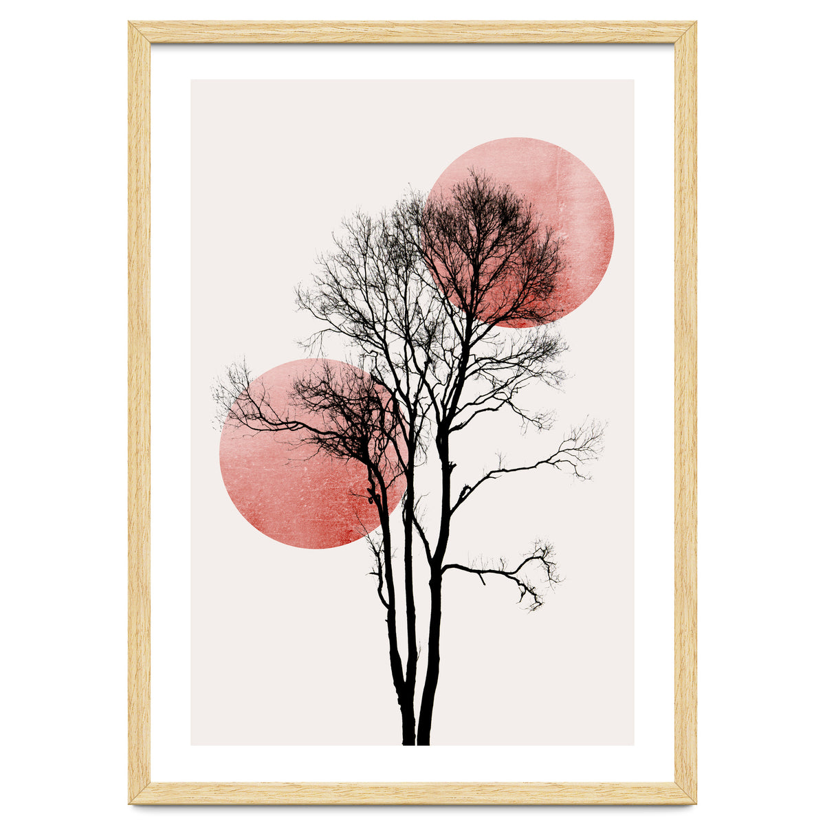 Sun And Moon Hiding Rosè