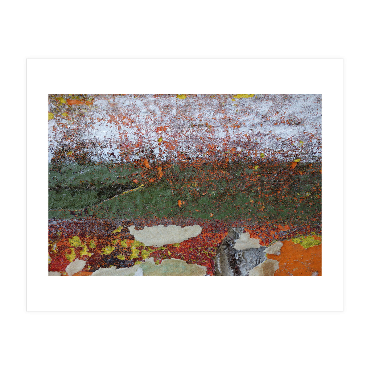 North South (Print Only)