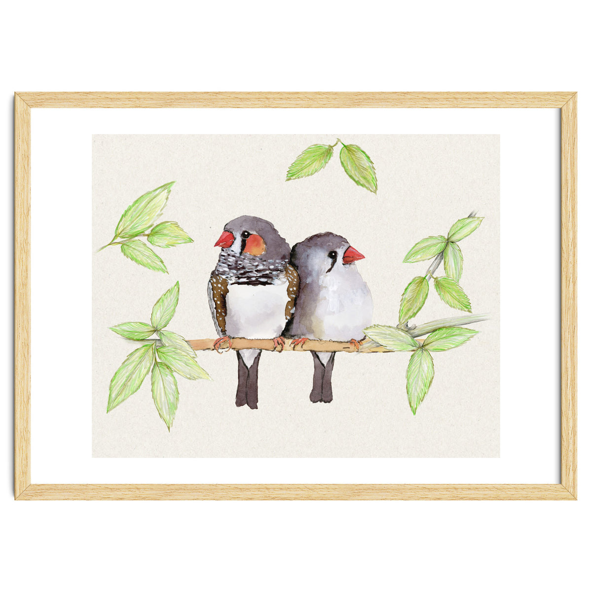 Sweet couple of zebra finches