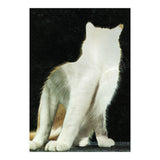 KatzenJammer 11 (Print Only) thumbnail