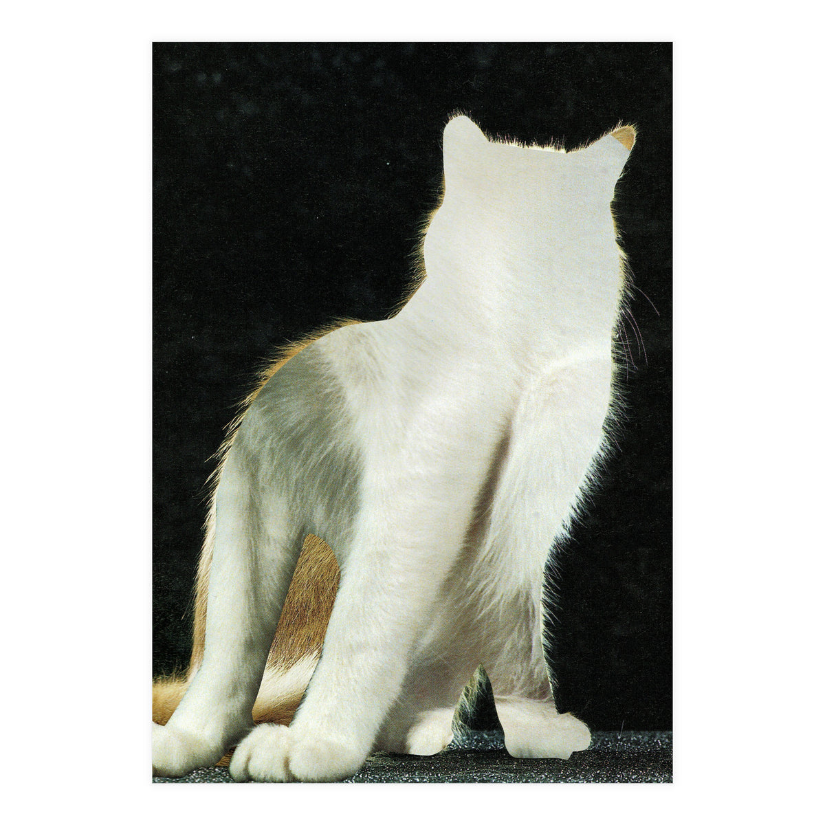 KatzenJammer 11 (Print Only)