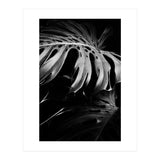 monstera nature (Print Only) thumbnail