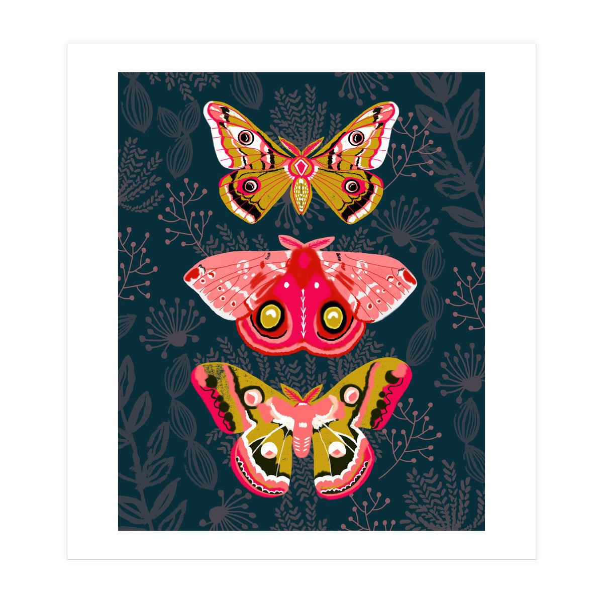 Lepidoptery Study No. 4 (Print Only)