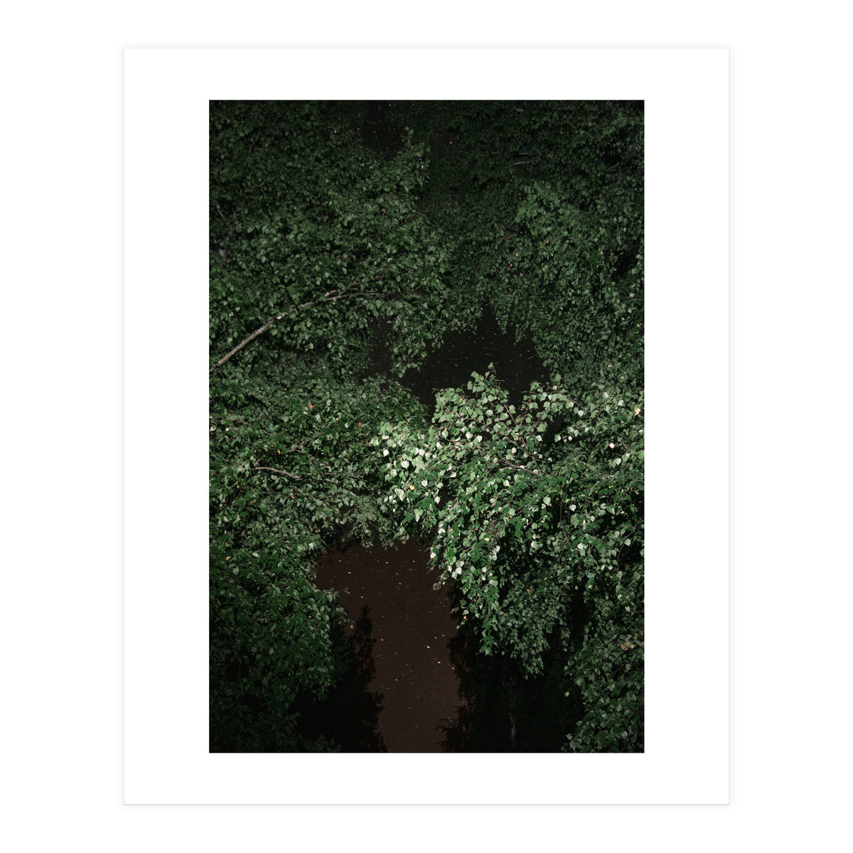 Greenscape (Print Only)