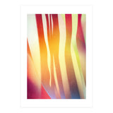 Carnival 2 (Print Only) thumbnail