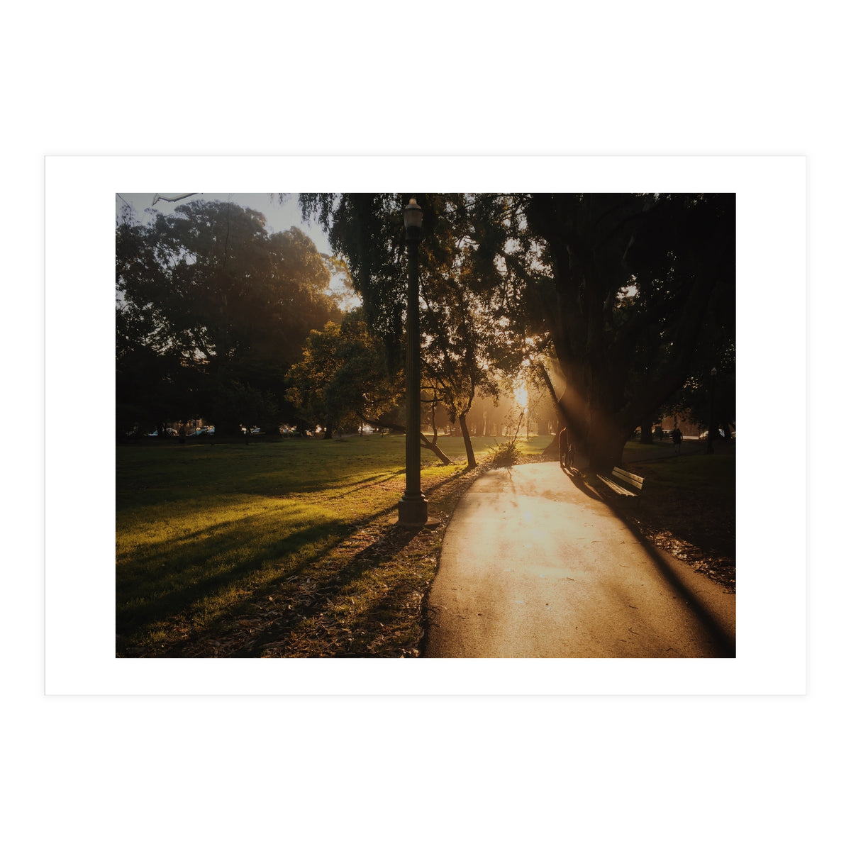 The Panhandle (Print Only)