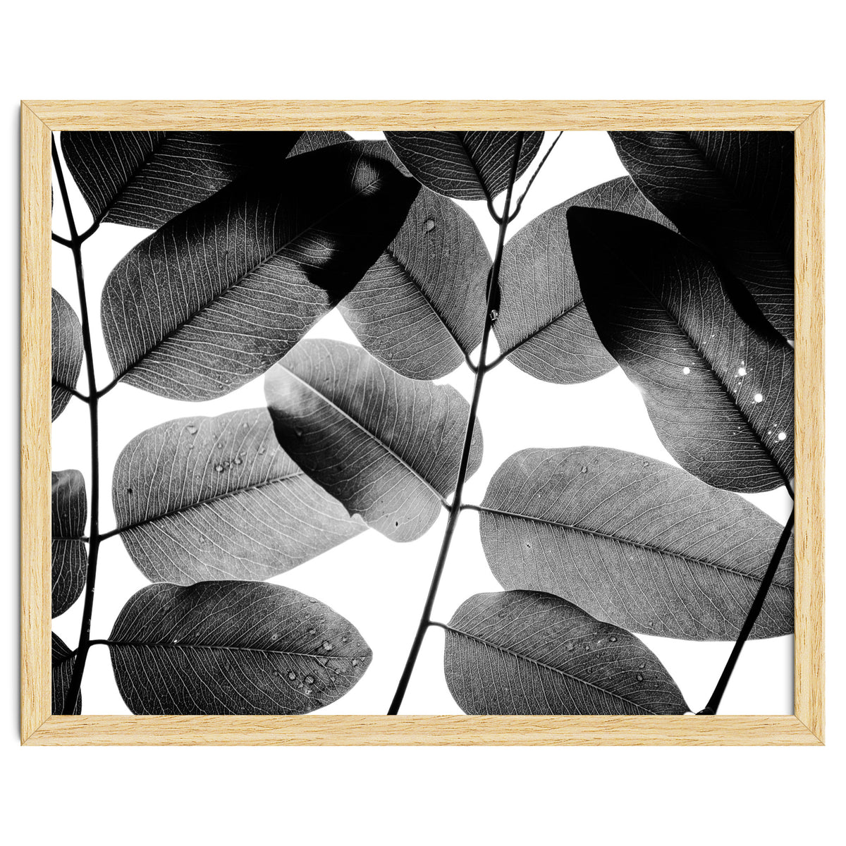 Experiments with Leaves II