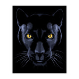 Panther (Print Only) thumbnail