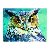 Great Horned Owl (Print Only) thumbnail