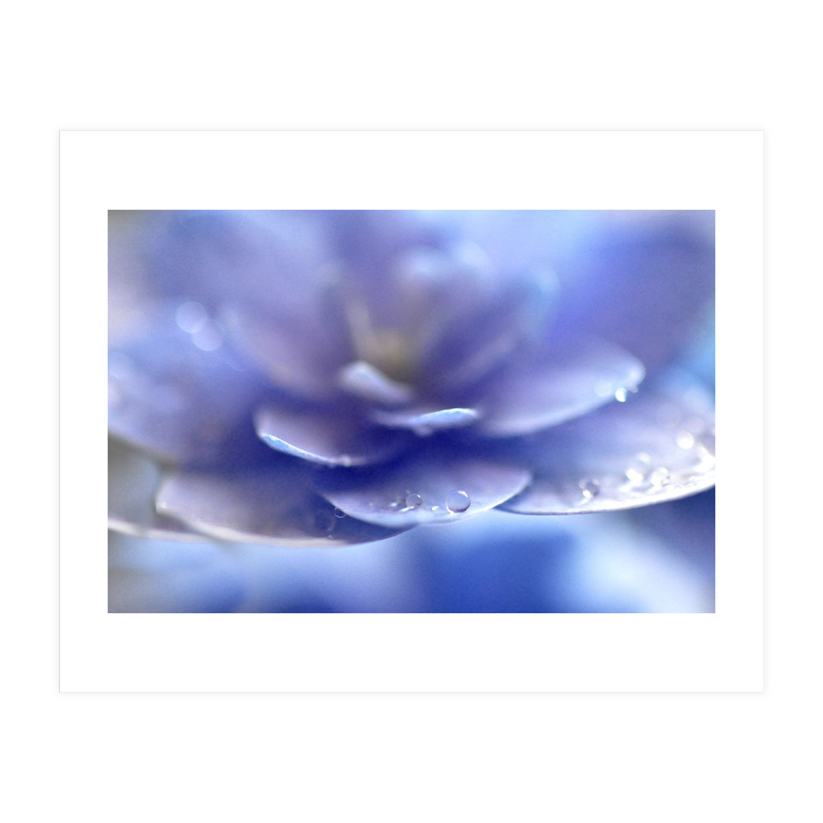 Enchantress (Print Only)