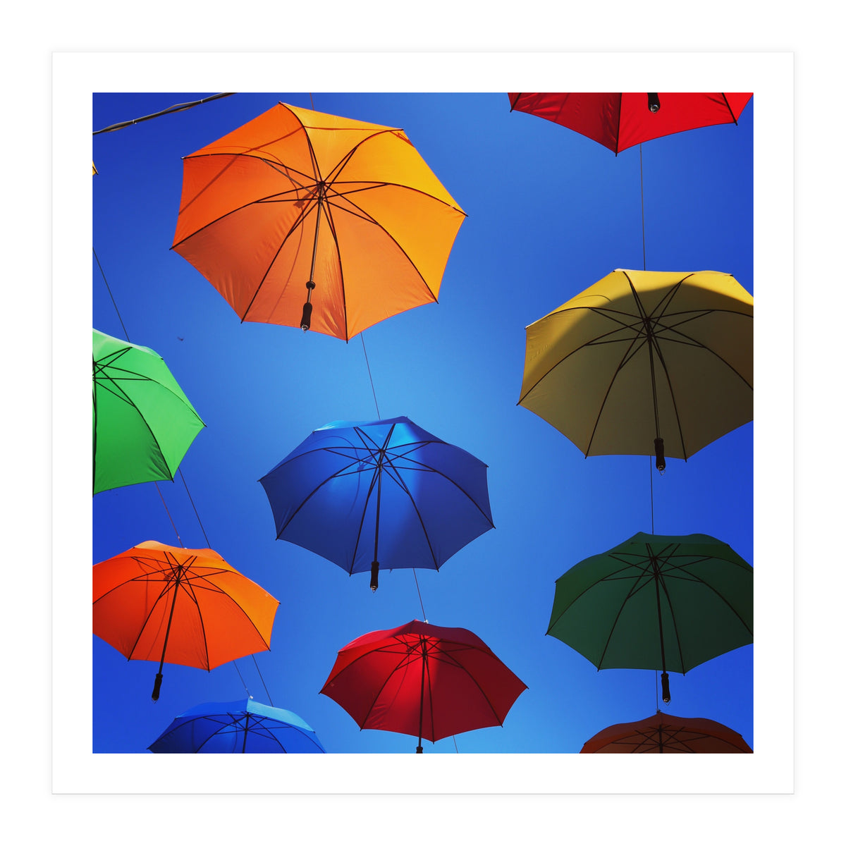 Rainbow umbrellas (Print Only)