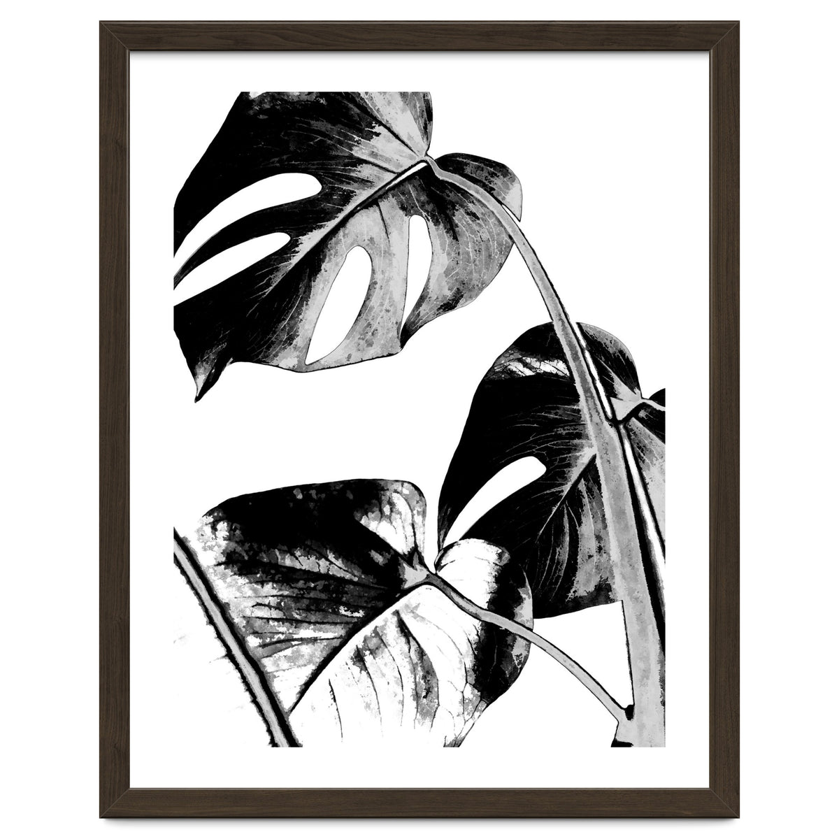 Black Tropical Leaves