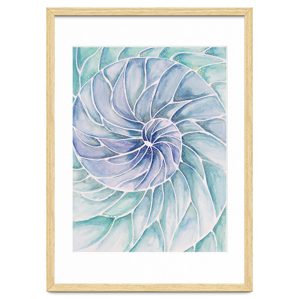 The inside of a shell