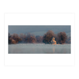 Temple Island Flypast - Henley On Thames (Print Only) thumbnail