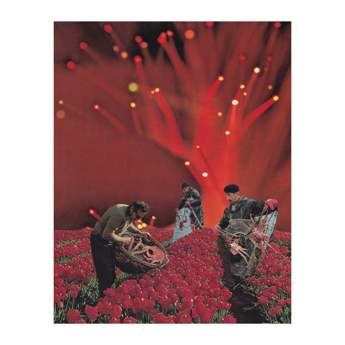 Red King Crab (Print Only)