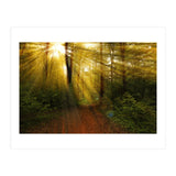 Nature (Print Only) thumbnail